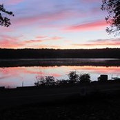 Sharon Geer's photo