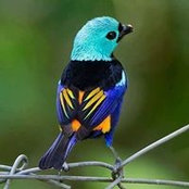 Judith Pacher's photo