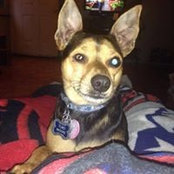 Kathy Montgomery Brooks's photo