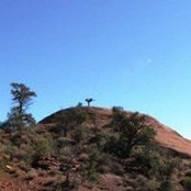 Georgina Beatty's photo