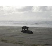 Matthew Lofton's photo
