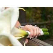 Sanaz Alimardani's photo