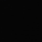 dina huppert's photo