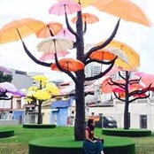 Elisa Adelman's photo