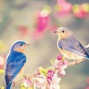 Na Ti's photo
