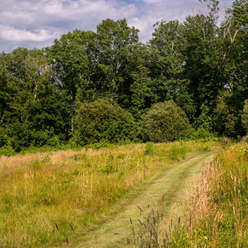 SummerField