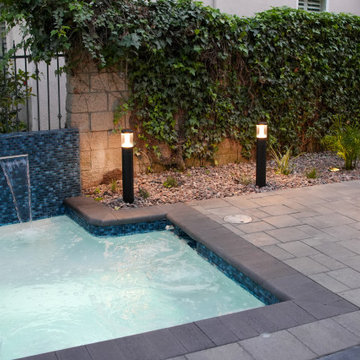Gustavo's Luxury Plunge Spa, Paver Pathway & Landscape Lighting
