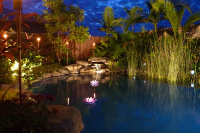 Inspiration for a tropical pool in Brisbane.