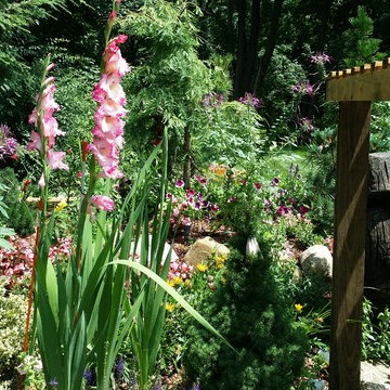 Water Feature