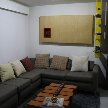 Departamentos modelo ZIRCON