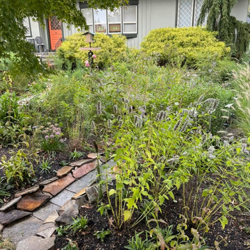 Water Management Habitat Rain Garden