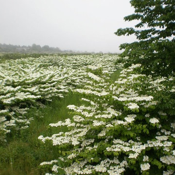 Southampton Farm