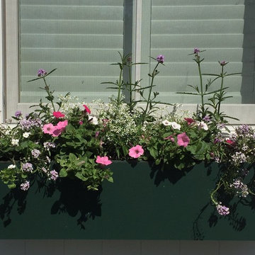 Planters & WIndow Boxes
