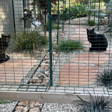 "Catio" patio enclosure for cats