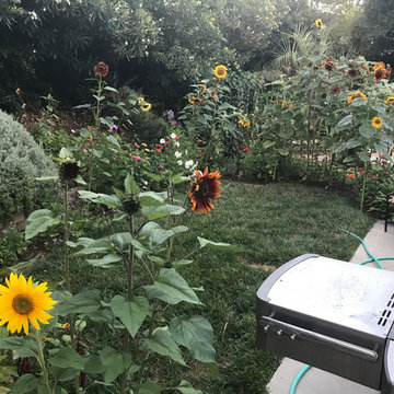 Landscape Maintenance