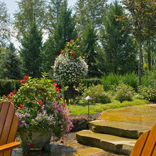 Back Patio