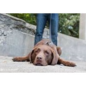 Megan Murrow's photo