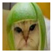 Brad Wilson's photo