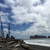 Bridget Bohannon's photo