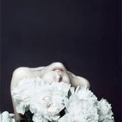 Trang Le's photo