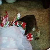 Joleen Lanzarotta's photo