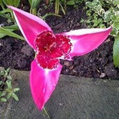 Foto von Joanne Gerber