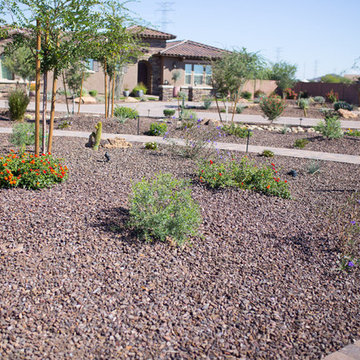 Extreme Dreamz Custom Landscaping LLC