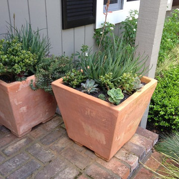 Southern Tuscan Garden