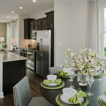 SILVER MERIT Merchandising Townhome $300,000 - $399,999