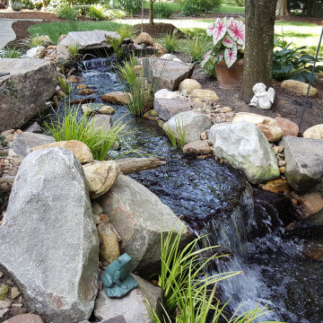 Ponds and Streams