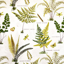 Fern fabric butterfly dragonfly botanical toile - Fabric