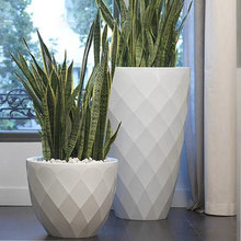 Planters