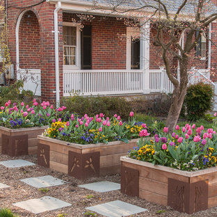 Kleiner Eklektischer Vorgarten im Frühling mit Kübelpflanzen, direkter Sonneneinstrahlung und Natursteinplatten in Washington, D.C.