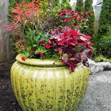 Container Gardens