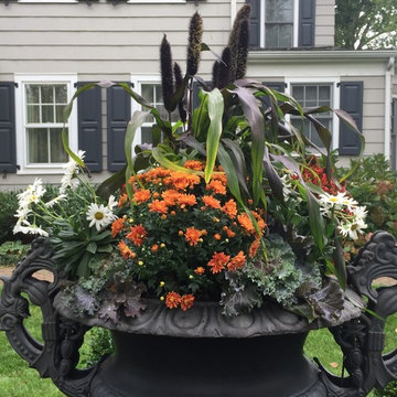 Seasonal Containers
