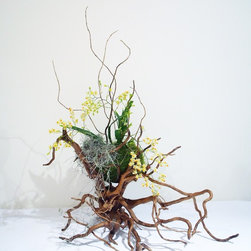 Living Sculptures - Plants
