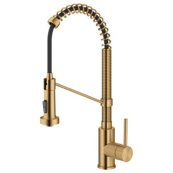 Bolden Commercial Style 2-Function Pull-Down 1-Handle 1-Hole Kitchen Faucet, Brushed Brass (Sensor Touchless)
