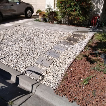 Full Yard Cleanup & Landscape Refresh