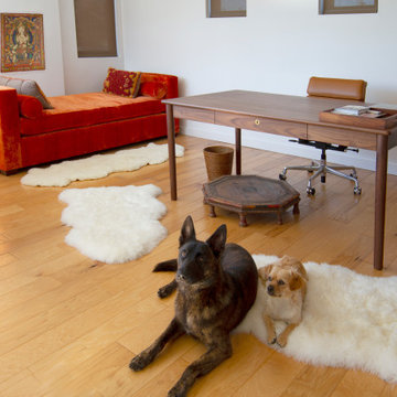 Venice Beach Whole Home Transformation