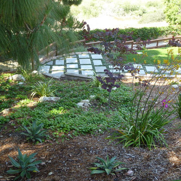 Rear slope, Palos Verdes Estates
