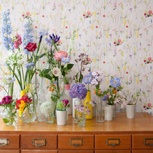bernadette_delaney's Ideas