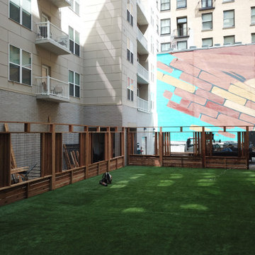 High Rise Dog Park