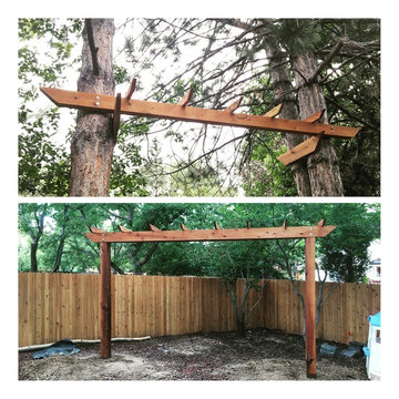 Custom Swing Stand and Tree Swing