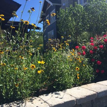 Cut Flowers and Perennial Gardens
