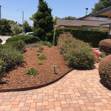 Landscape Maintenance