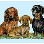 Betsy Drake - Dachshunds Door Mat 18x26 - These decorative floor mats are made with a synthetic, low pile washable material that will stand up to years of wear. They have a non-slip rubber backing and feature art made by artists Dick Hamilton and Betsy Drake of Betsy Drake Interiors. All of our items are made in the USA. Our small door mats measure 18x26 and our larger mats measure 30x50. Enjoy a colorful design that will last for years to come.