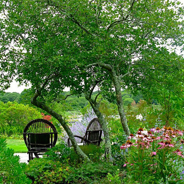 Coastal Rhode Island Garden: Salt Pond Friendly