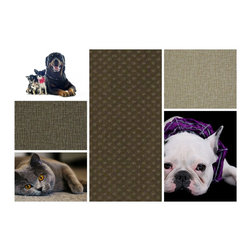 Shadow- Stainmaster Pet Protect - Flooring