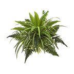22" Mixed Greens and Fern Artificial Bush Plant, Set of 3