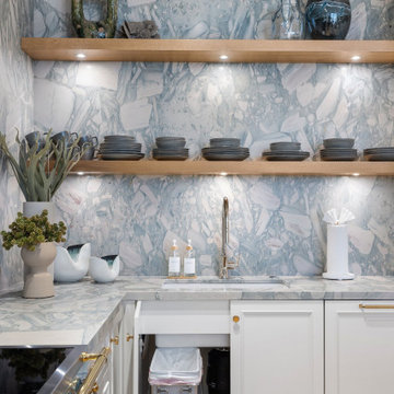 Two-Story Penthouse Renovation, W Dallas South Tower